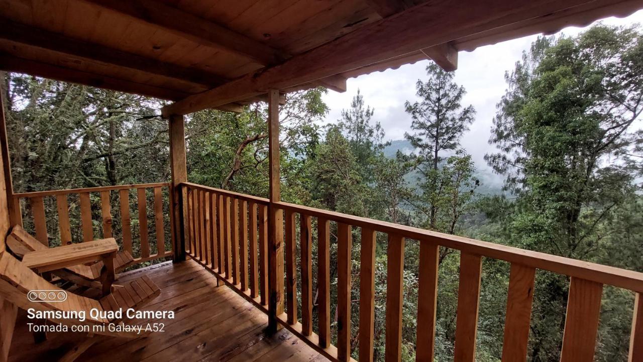 Cabana En El Bosque De San Jose Del Pacifico Buitenkant foto