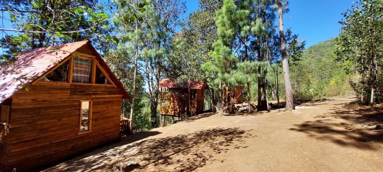 Cabana En El Bosque De San Jose Del Pacifico Buitenkant foto