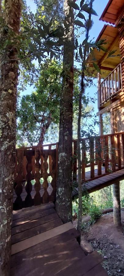 Cabana En El Bosque De San Jose Del Pacifico Buitenkant foto